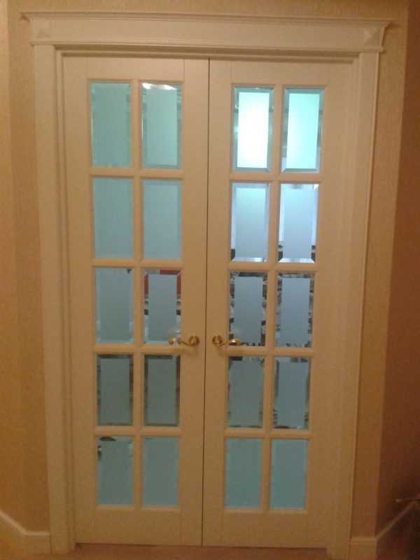 Распашные двери: пластиковые, стеклянные и деревянные, композитные, фото в интерьере