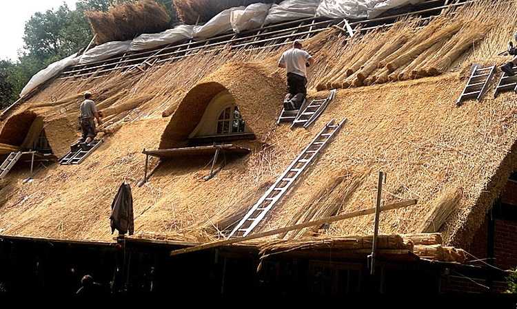 Крыша из камыша: оригинальное и практичное решение