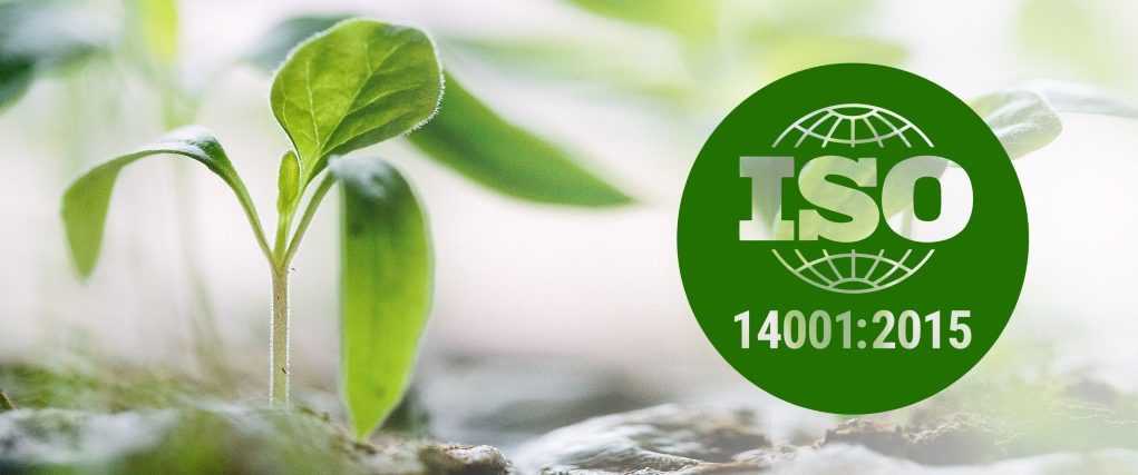 Сертификация исо 14001, получить сертификат гост р исо 14001-2016 (iso 14001:2015). оформление iso 14001.