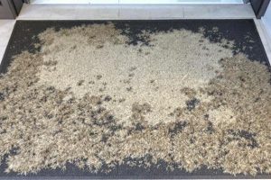 Правда ли, что все грязезащитные ковры одинаково прочные