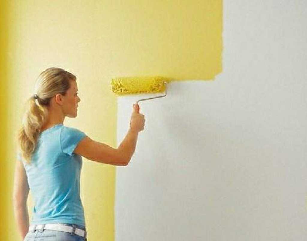 Шпаклевка стен под покраску: технология и тонкости процесса