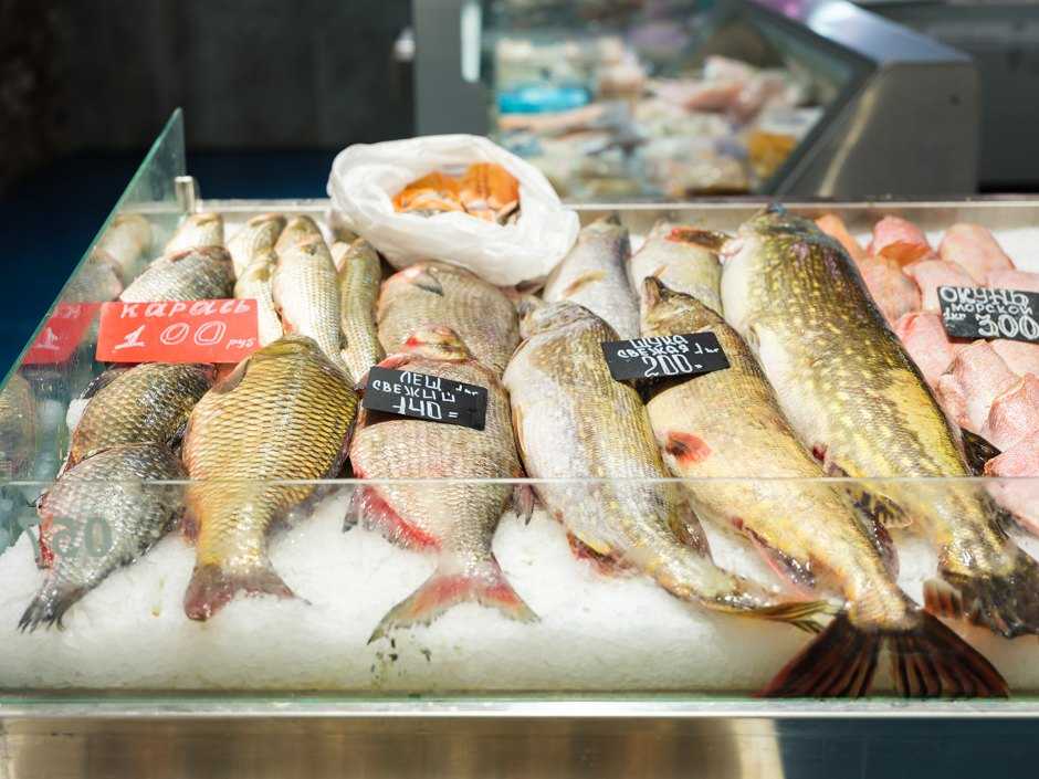 Выгодно ли торговать рыбой — требования к продаже