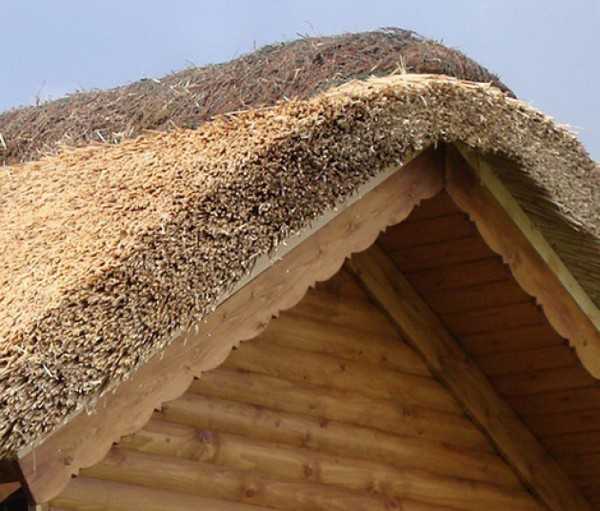 Крыша из камыша: плюсы и минусы, особенности монтажа | дом мечты