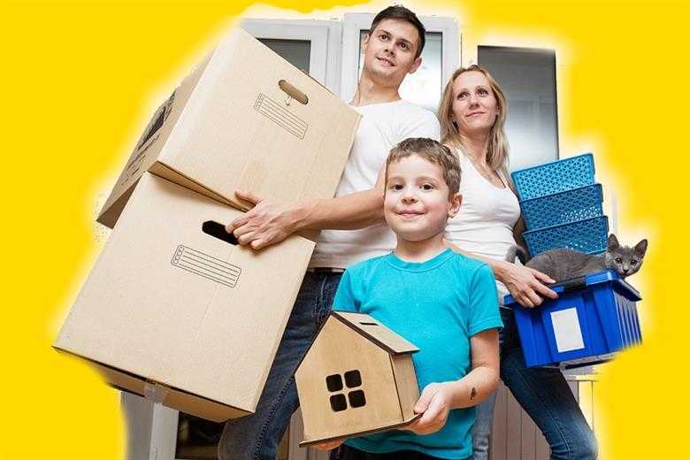 Покупка квартиры в ипотеку в новостройке: порядок процедуры, пакет документов, пошаговая инструкция
