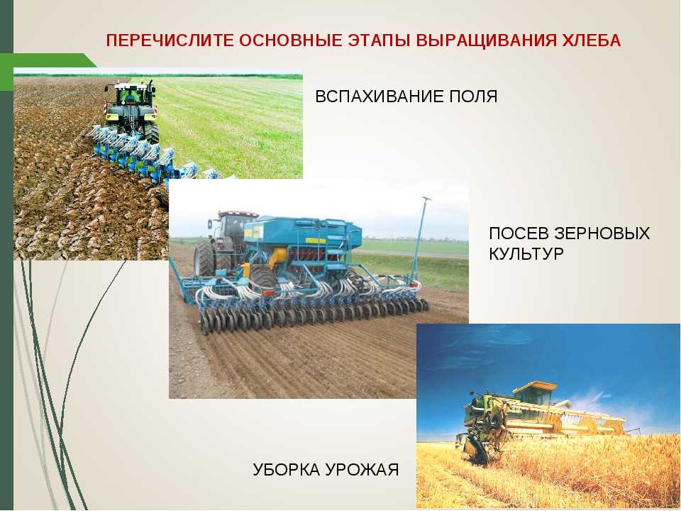 Этапы обработки полей. Машины для возделывания зерновых культур. Агрегаты для уборки зерновых культур. Агрегат для уборки зерновых. Этапы выращивания пшеницы.
