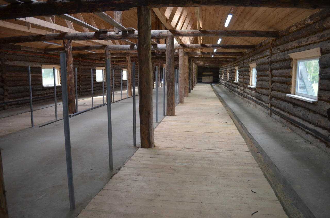 Строительство коровника своими руками: проект мини-фермы для рогатого скота