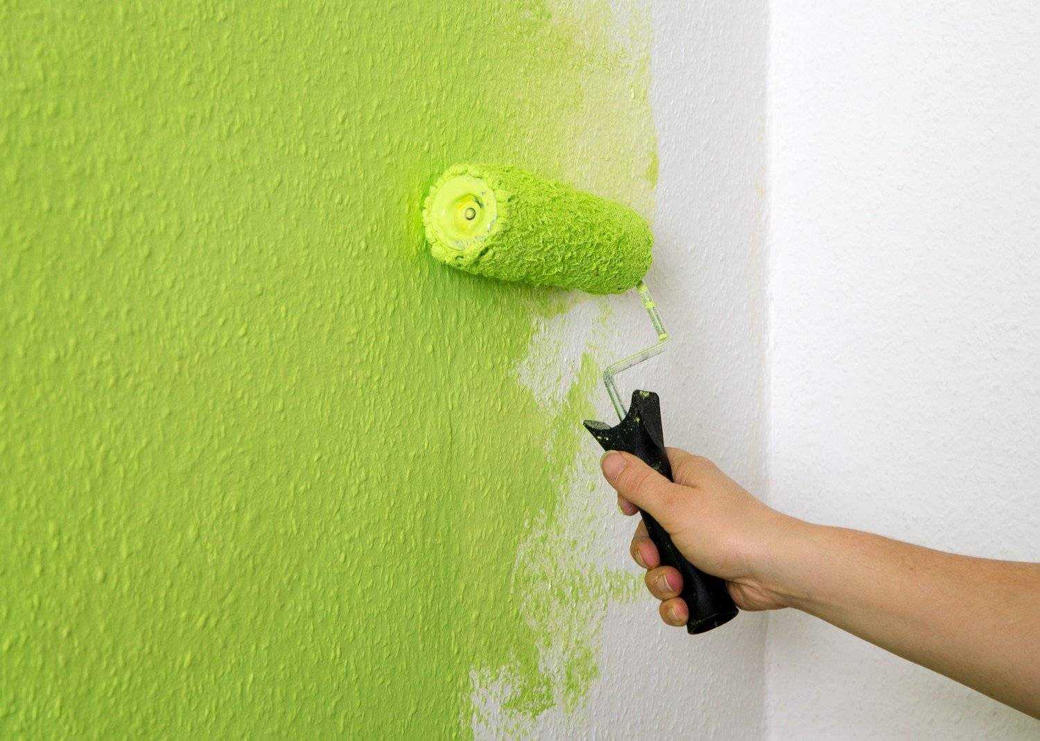 Покраска стен – существующие варианты такой отделки, как правильно подготовить поверхность и провести окрашивание?