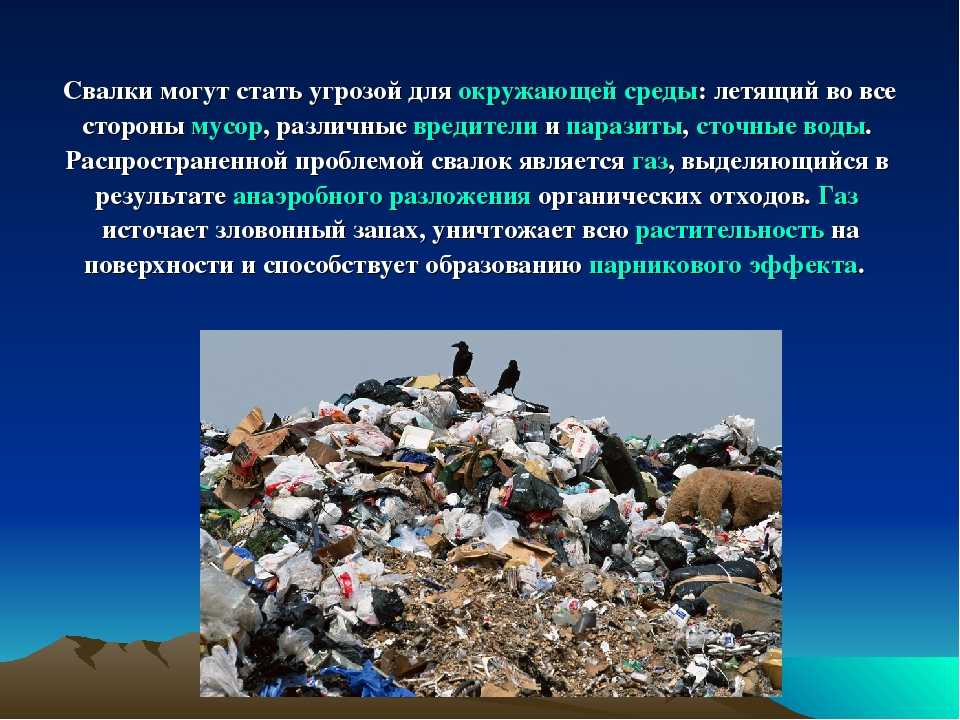 Утилизация бытовых отходов - способы переработки мусора
