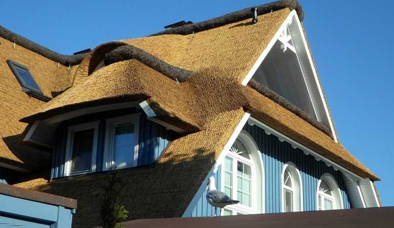Камышовая крыша - экологический кровельный материал для вашего дома, эко билдер - проектирование камышовой кровли, монтаж крыши из камыша