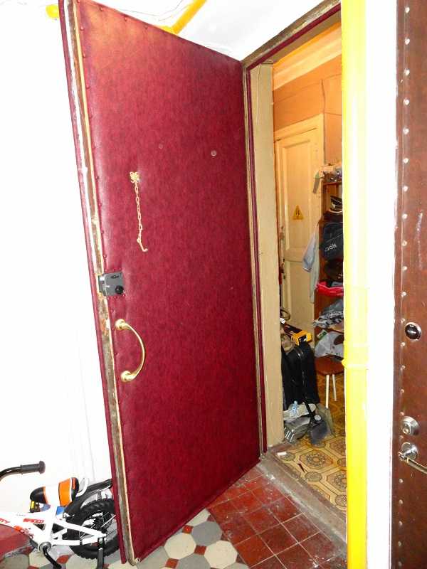 Входная дверь в квартиру с шумоизоляцией: вторая дверь защиты от шума, как подобрать модель с хорошей звукоизоляцией, можно ли шумоизолировать своими руками