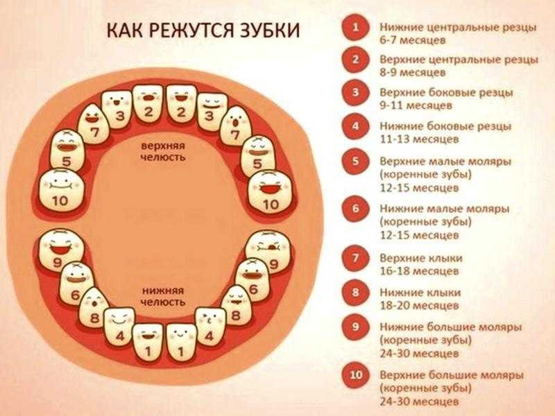Здоровье ваших зубов: мифы и реальность