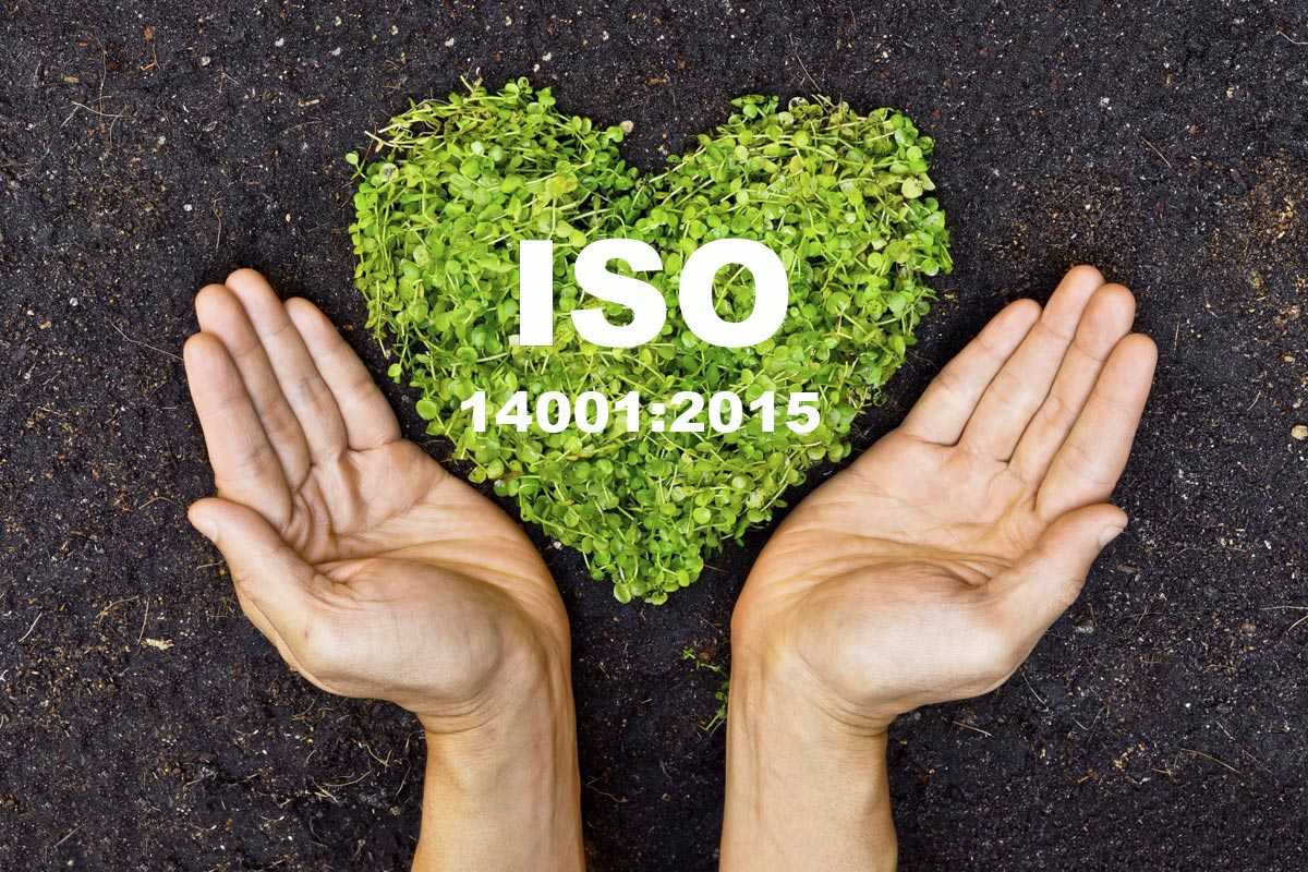 Сертификация по международному стандарту iso 14001. получить сертификат iso 14001 в tms rus