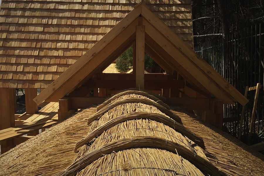 Крыша из тростника - достоинства и недостатки