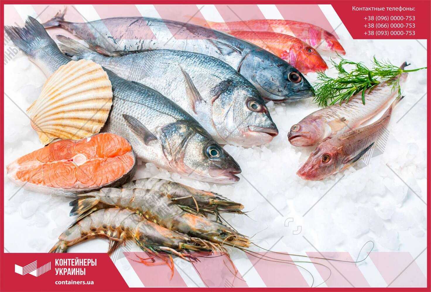 Условия перевозки живой рыбы: основные правила транспортировки