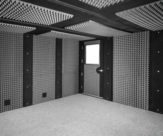 Звукоизоляционная дверь: межкомнатные шумоизоляционные модели, способы звукоизоляции и шумоизоляции полотен в квартире, звукоизолирующие материалы для двери