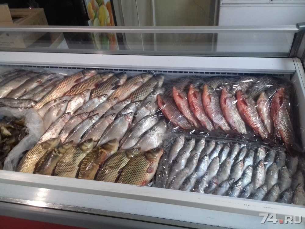 Как определить качество рыбы и морепродуктов? предъявляемые требования и сроки хранения